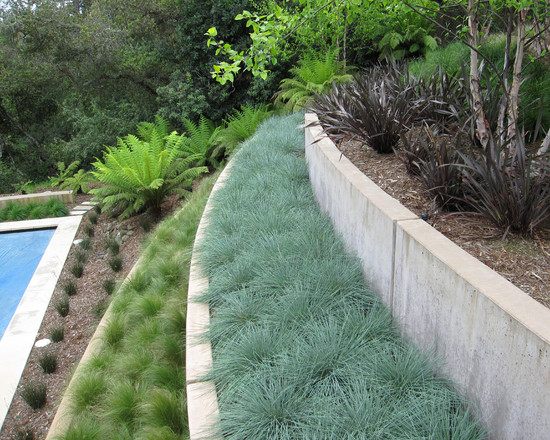 modern garden landscape multi levelled concrete walls