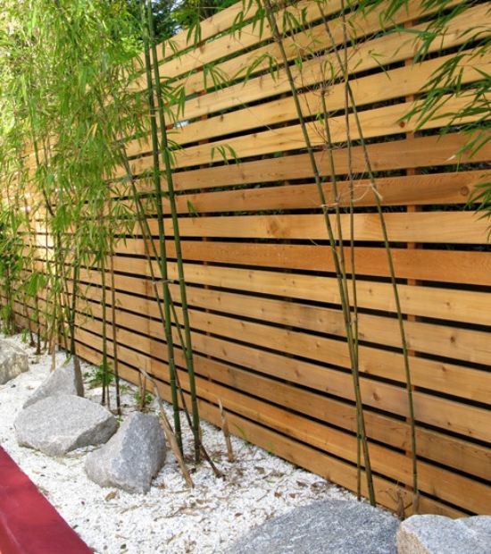 modern landscape privacy fence ideas wood bamboo plants