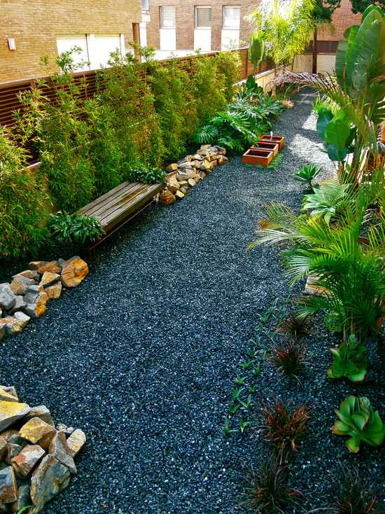 modernize your landscape bamboo garden ideas