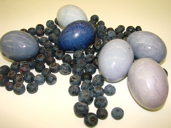 natural dye easter eggs blueburry different shades