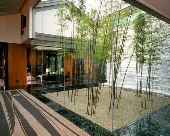 stylish rectangular bamboo garden design