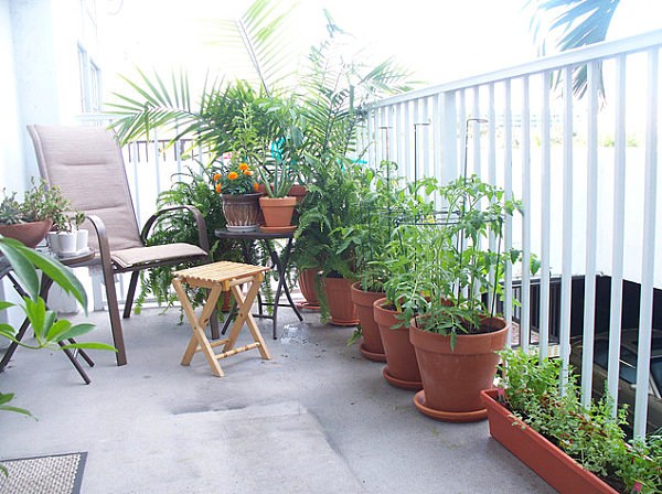 Balcony garden design flower pots chair small table