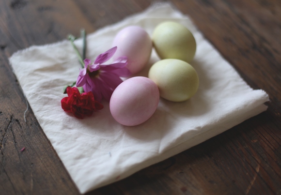 Easter eggs coloring ideas flower petals natural dyes