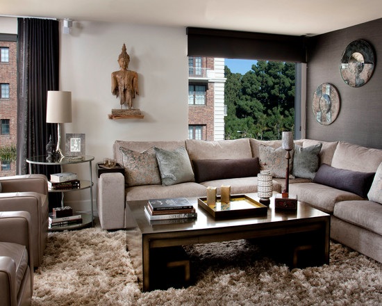 Living room furniture coffee table cushion sofa gray wall shaggy carpet