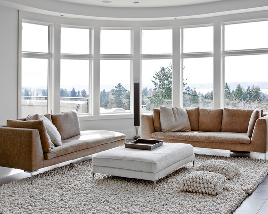 Living room leather furniture light brown shaggy carpet beautiful view