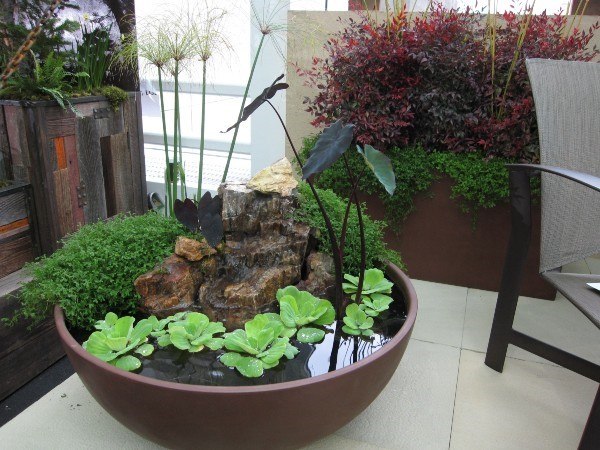 creative indoor gardening plants rock water arrangement spheric container