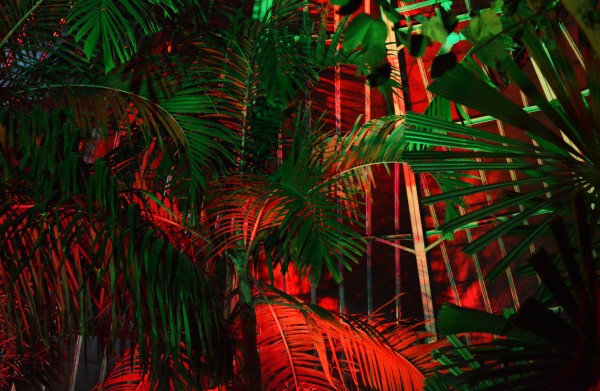 exterior lighting ideas red light contrast green plants