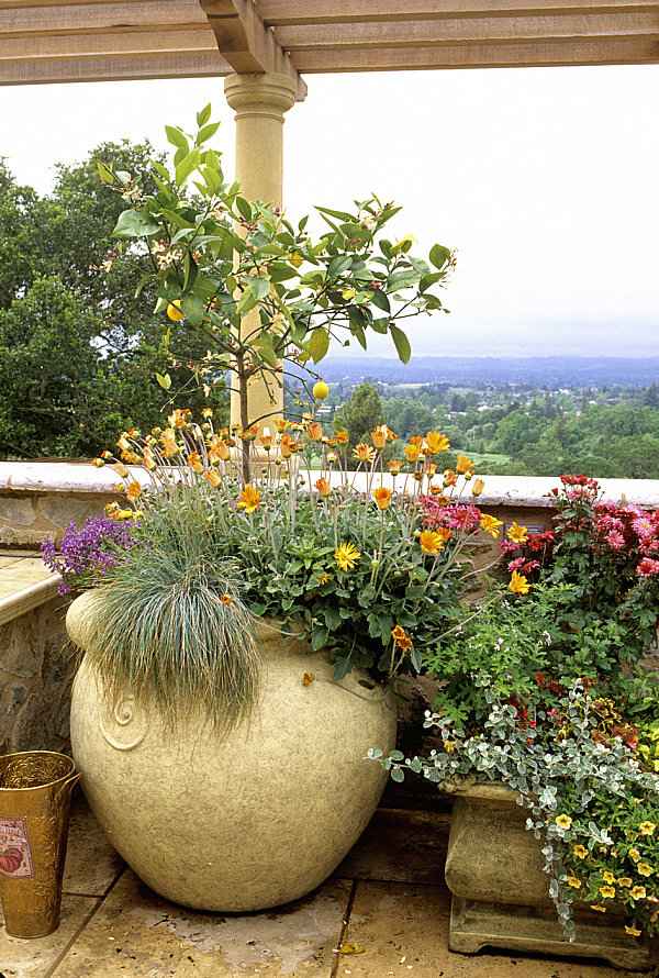 ideas balcony big flower pots rustic style
