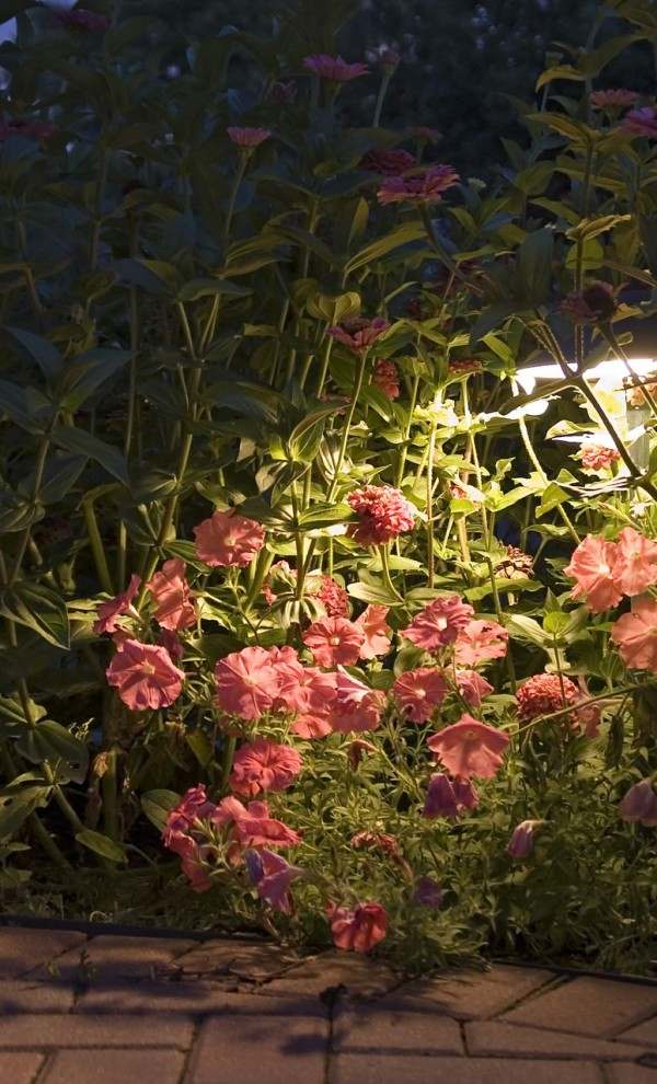 garden exterior lights arrangement accents blooming flowers