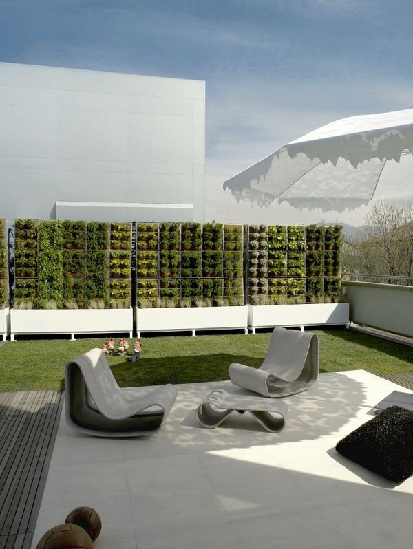 garden ideas patio furniture design hedge plants