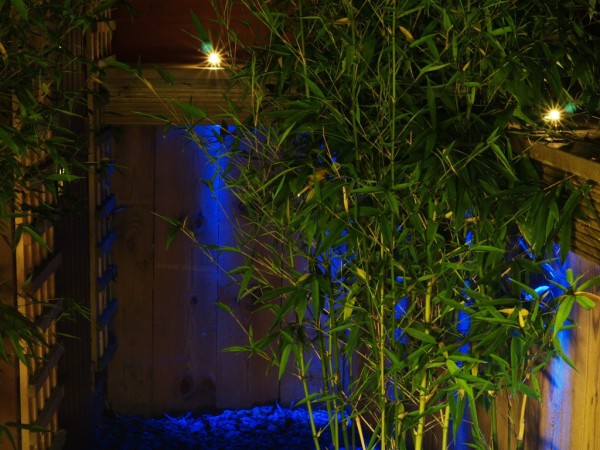 garden decoration ideas blue light bamboo tree