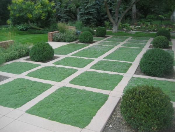 grid landscaping grass squares sculpured plants small garden design
