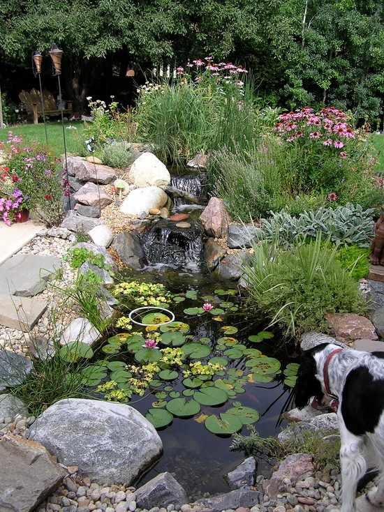 landscape water features lily pond natural stones 