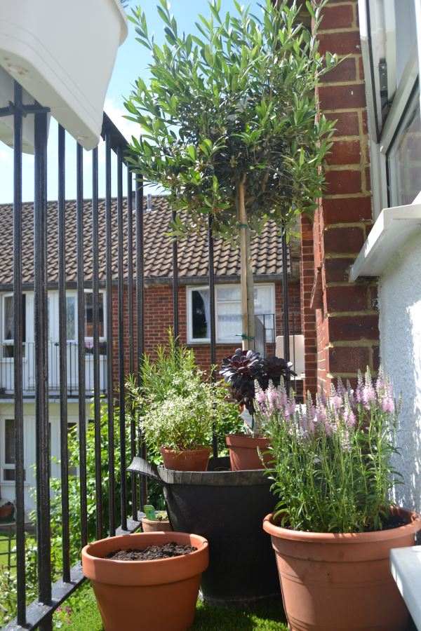 long narrow balcony garden idea flowers in pots and tree