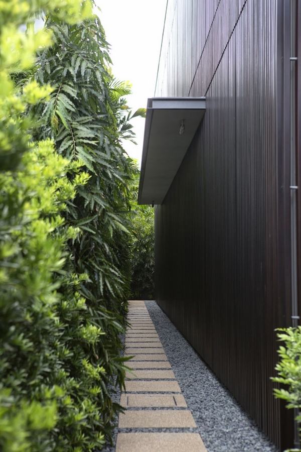 long narrow garden path gravel slabs vertical plant wall