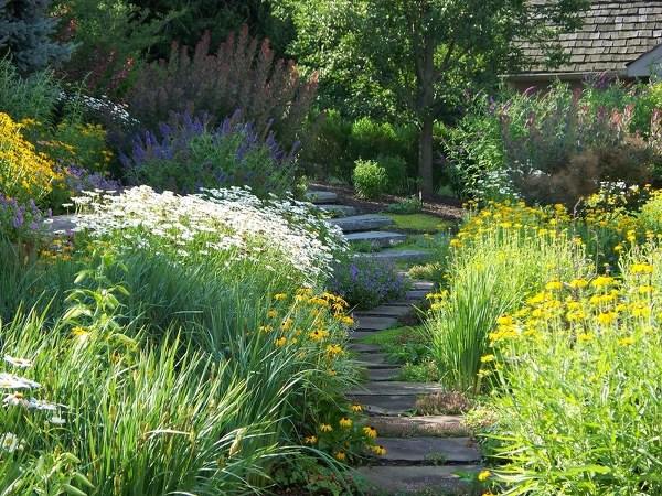picturesque secret garden design stone path variety of plants
