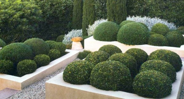 sculptured shrubs beautiful house exterior design concrete beds