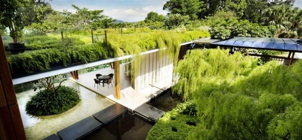 stunning garden design water features green plants