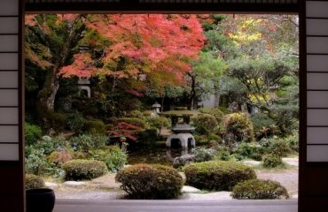 16-steps-for-Japanese-garden-design-autumn