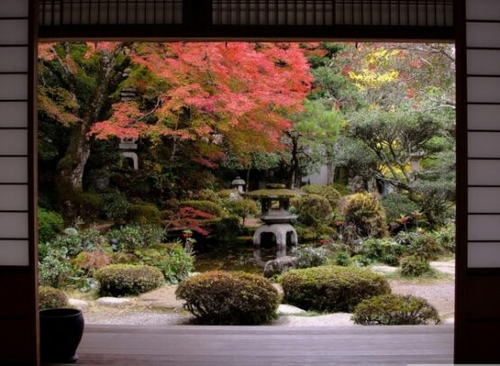 16-steps-for-Japanese-garden-design-autumn