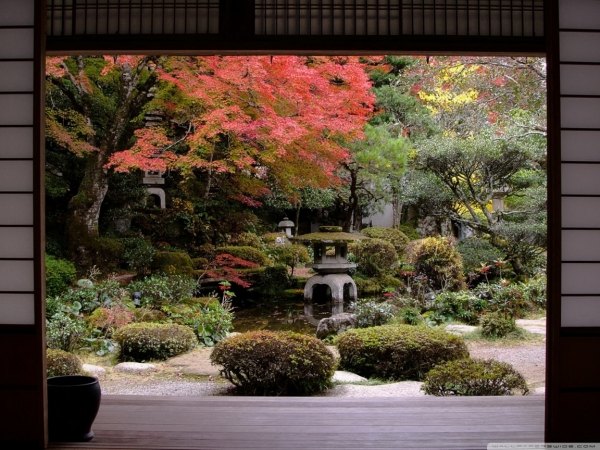 16 steps for Japanese garden design autumn