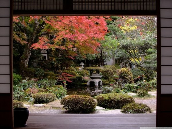 Make Your Own - DIY Mini Zen Gardens  Jardin japonais miniature, Jardin  japonais, Design de jardin zen