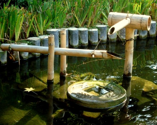 16 steps for Japanese garden design water features plants