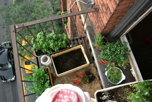 Balcony ideas small urban garden design flower pots