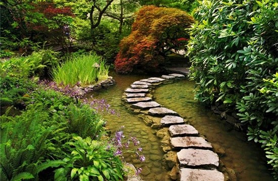 Creative garden design pond