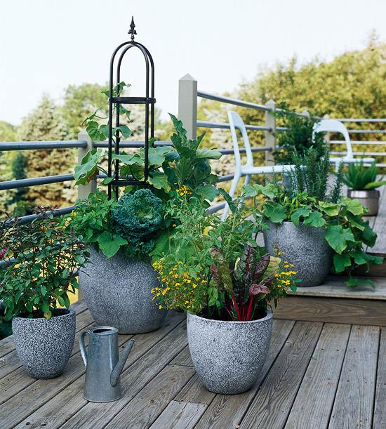 Garden Decor concrete flowerpots