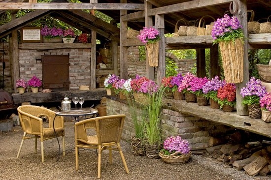 DIY Garden decoration ideas flower pots vines wood 