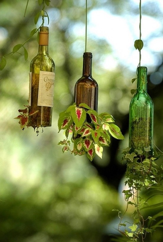 DIY decoration wine bottles hanging planters