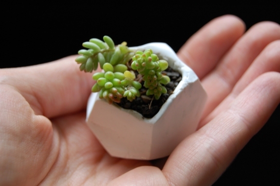 DIY mini plant pot modeling clay