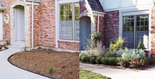 Front yard planting ideas