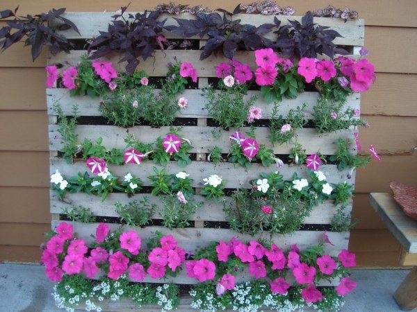 Garden decoration ideas vertical flower wall used wooden pallets