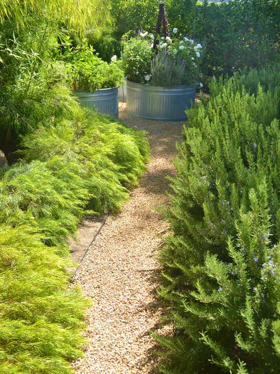 landscape design plants gravel