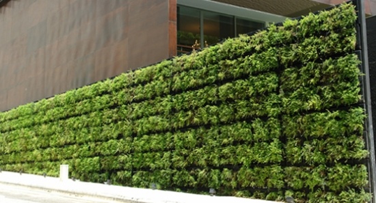 Green wall ideas windshield terrace