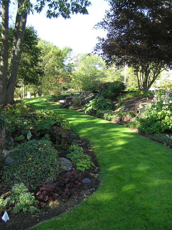 Lawn path garden landscape architecture