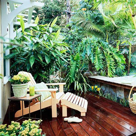 Patio blinds ideas privacy terrace lush tropical plants