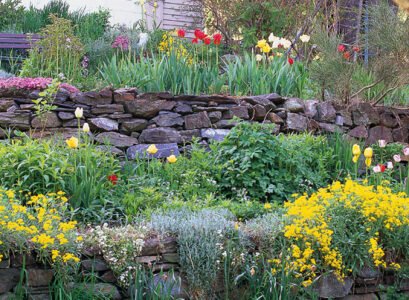 Sloped-garden-ideas-garden-plants-flowers-terraces
