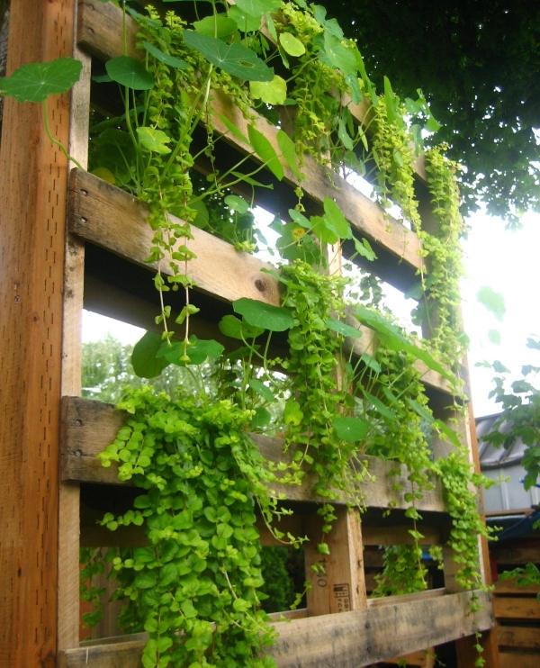 balcony garden DIYideas vertical plants wall