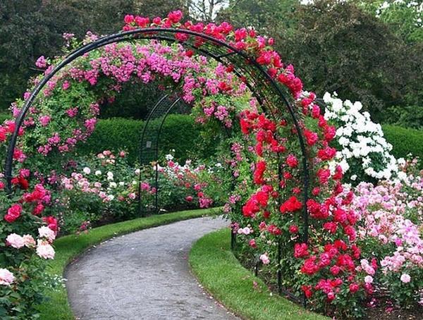 beautiful decorations rose garden arch