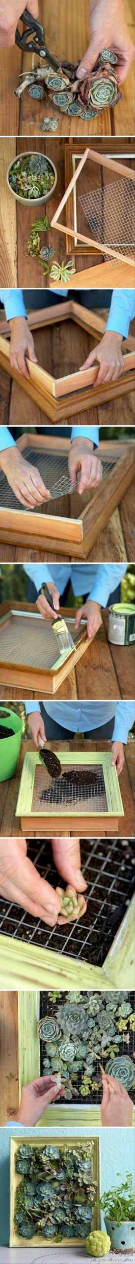 diy-craft-ideas-garden-decoration-succulent-picture-frame-wire-mesh-grille