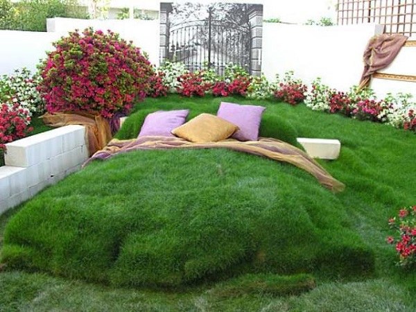 garden hedge bed lawn
