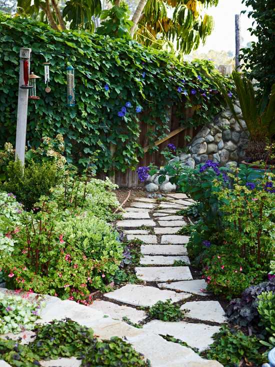 stepping stones ivy wall