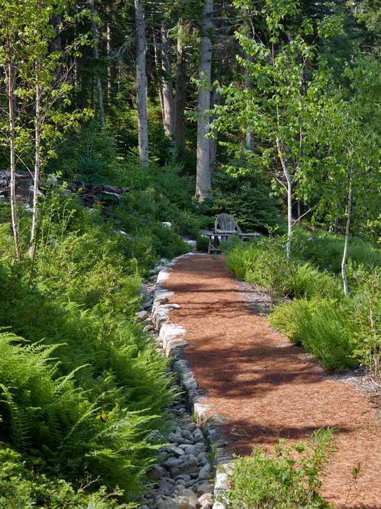 modern landscape architecture forest pathway