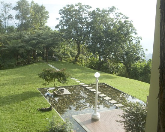 minimalist landscape architecture design garden pond rocks lawn