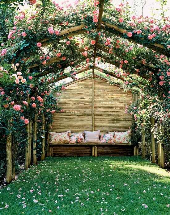 pergola garden ideas climbing rose romantic bench