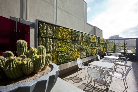 rooftop balcony gardening terrace vertical green wall