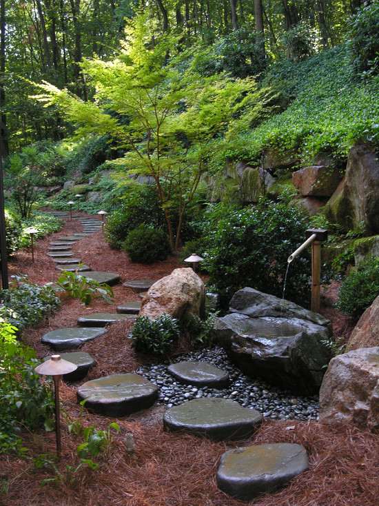 zen garden design water plant stepping stones